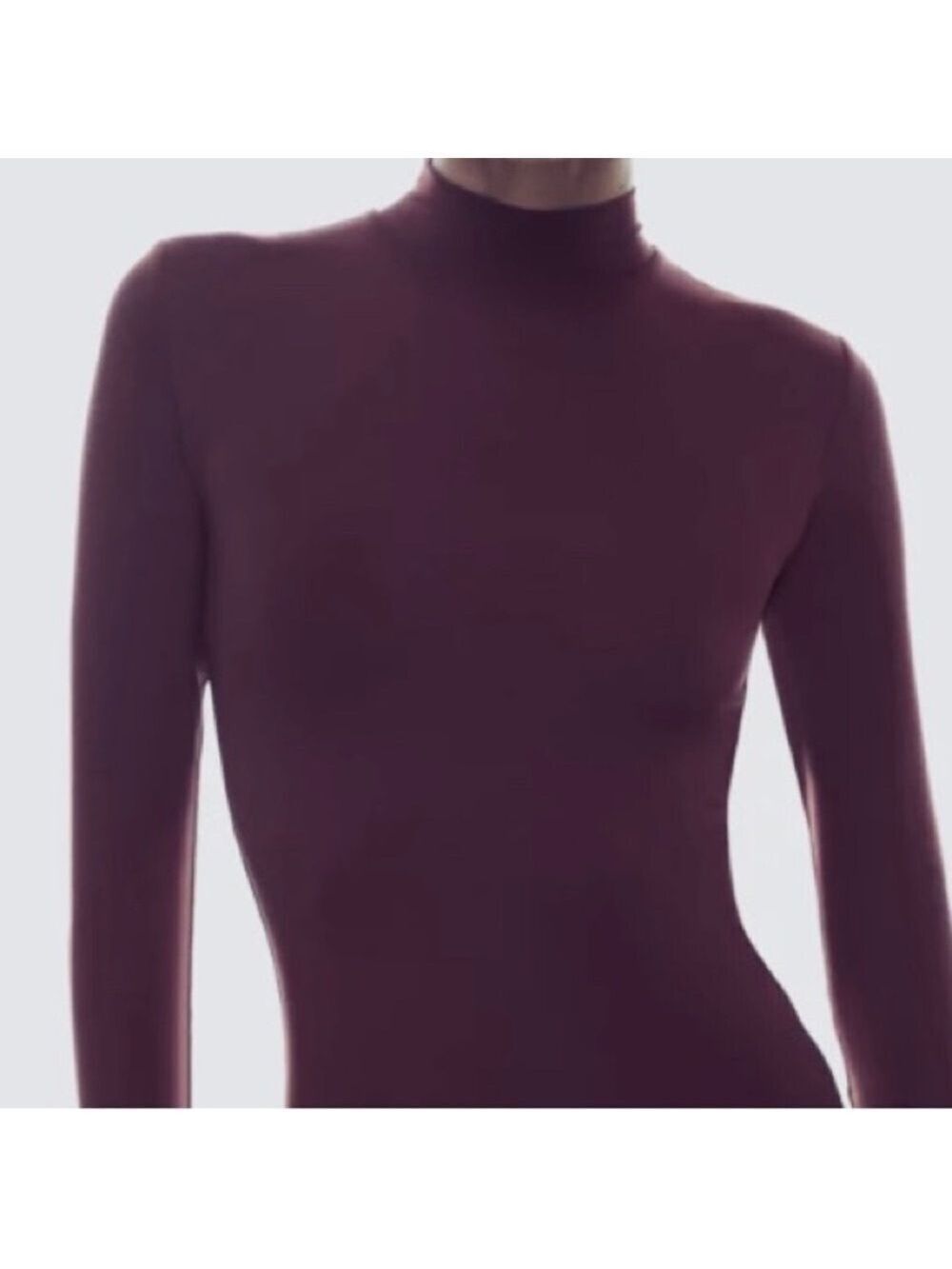 🎈$5 add on. Aritizia Babaton Mockneck ribbed long sleeved top. Eggplant.